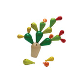 Mikado Cactus