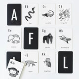 Carte Alphabet en Anglais | Jungle