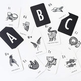 Carte Alphabet en Anglais | Jungle